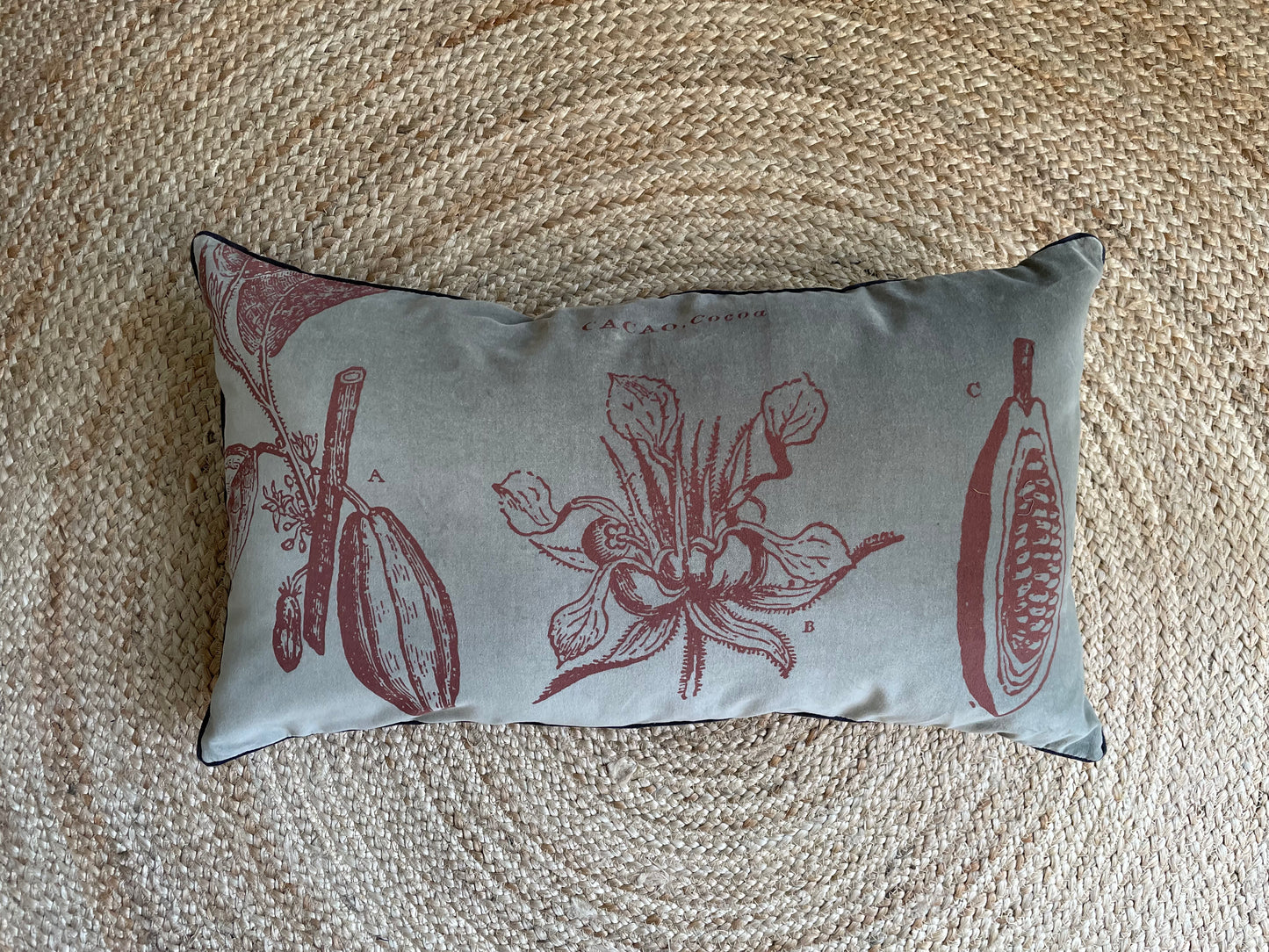 Cojín Terciopelo Salvia Cacao 70x40