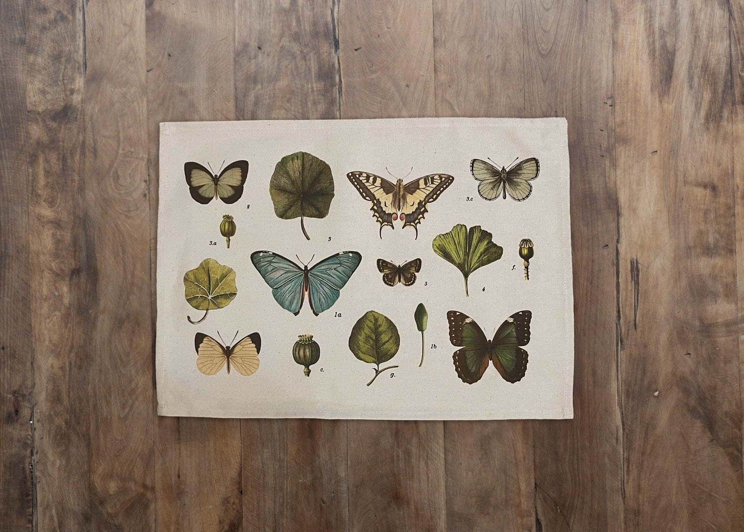 Individual Papillon (4 unidades)